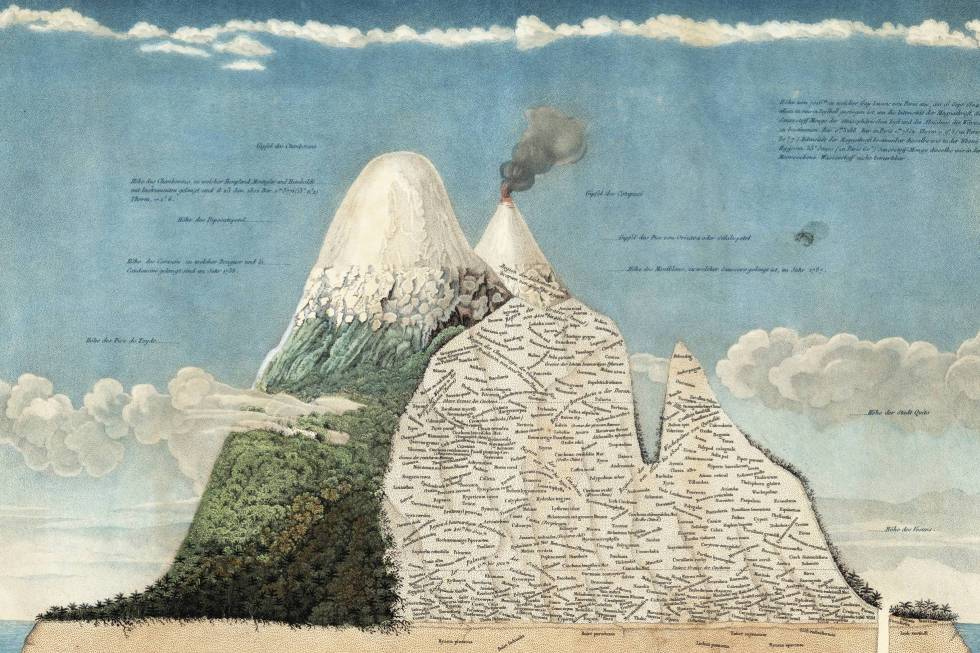 Detalle del uno de los dibujos de Humboldt. Detalle del uno de los dibujos de Humboldt.