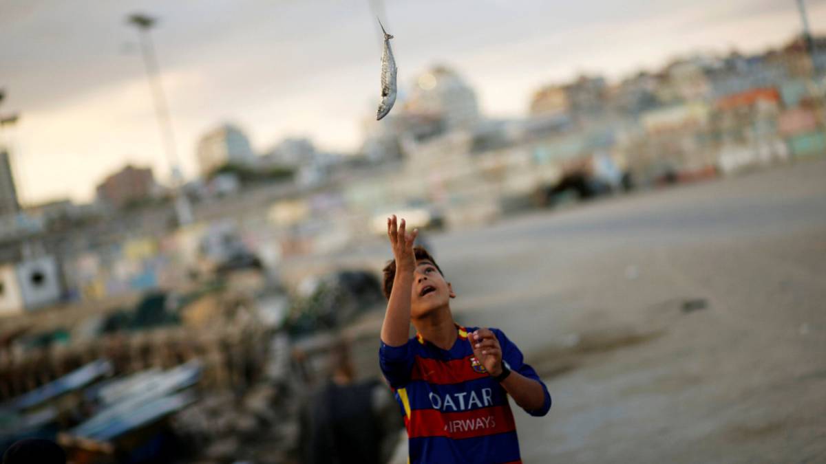 Un niño palestino lanza un pez al aire en Gaza.