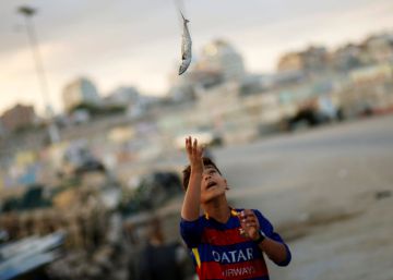 Un ni&ntilde;o palestino lanza un pez al aire en Gaza. 