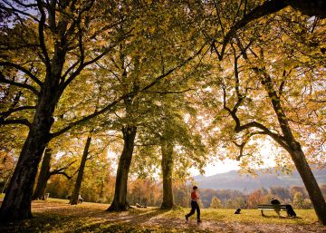 Una piedra en el zapato suizo