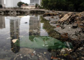 Efectos de la contaminaci&oacute;n.