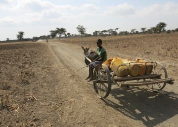 Ni&ntilde;a oromo desplaz&aacute;ndose al pueblo vecino en b&uacute;squeda de agua