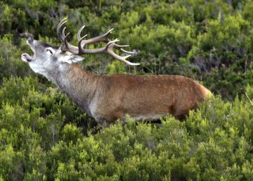 19 escapadas verdes para el otoño