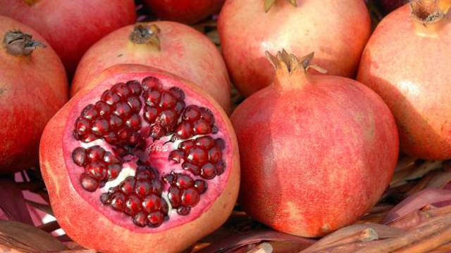 De temporada: lo que deberías comer en otoño