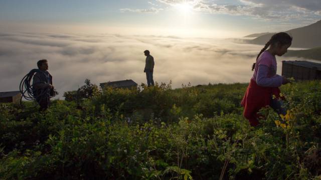 Una familia, en la cima de una colina.