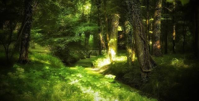 El cine de los sueños