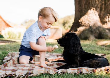 El pr&iacute;ncipe Jorge con su mascota, el pasado julio en Norfolk (Reino Unido). 