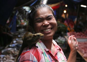 Una mujer sujeta una ardilla en un mercado de Maeklong (Tailandia).