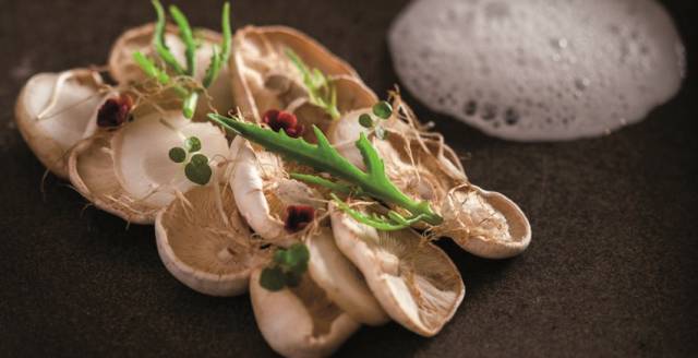Raphanika, ari&aacute; y leche de casta&ntilde;a ahumada, plato del brasile&ntilde;o Felipe Schaedler.