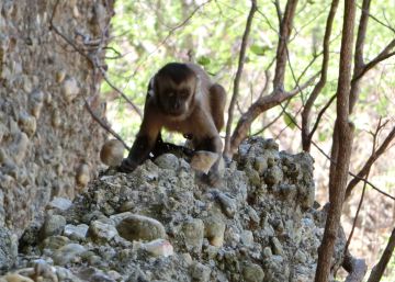 La expulsión del paraíso sigue en marcha