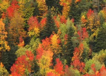 Ten fabulous fall getaways