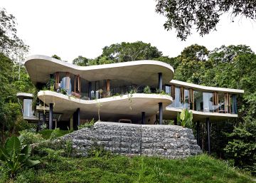 El corazón del bosque