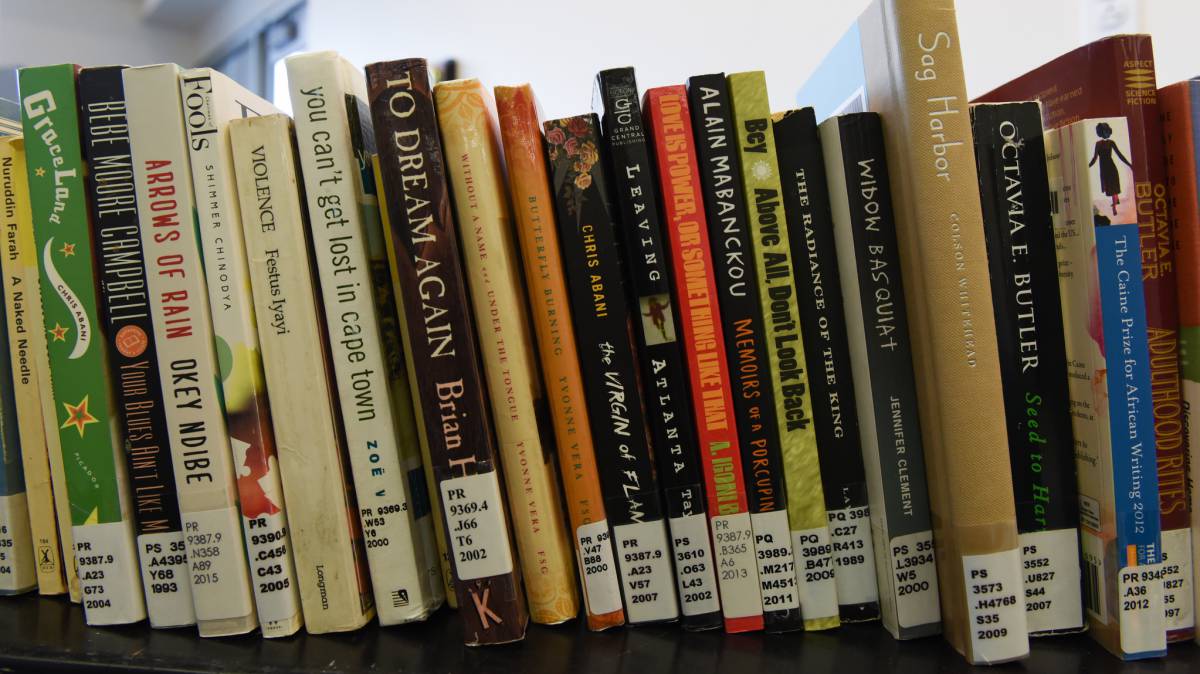 Libros africanos en la biblioteca James Branch de Richmond, Virginia.