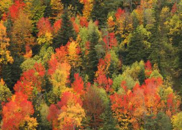 Diez paisajes fabulosos para el otoño