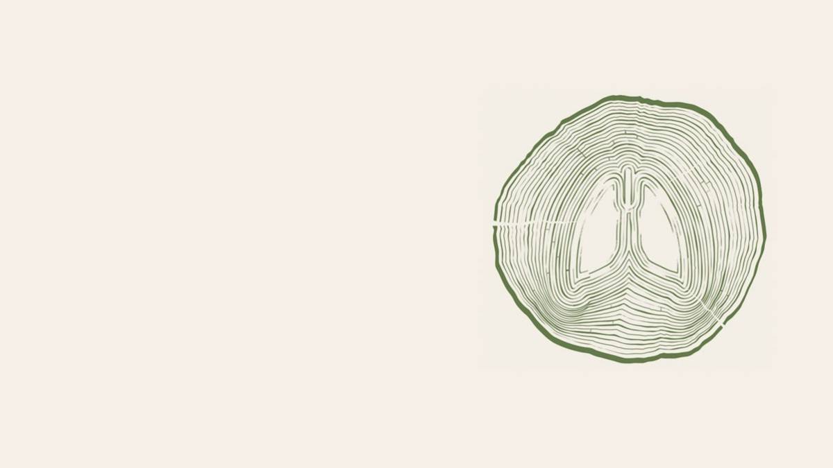 Los pulmones de la tierra