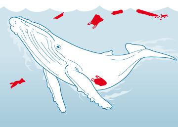 Cómo la basura plástica amenaza a la fauna marina