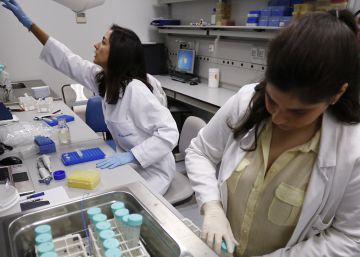 Dos t&eacute;cnicos de laboratorio de una empresa andaluza de biotecnolog&iacute;a.
