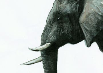 Trump y la Internacional Populista