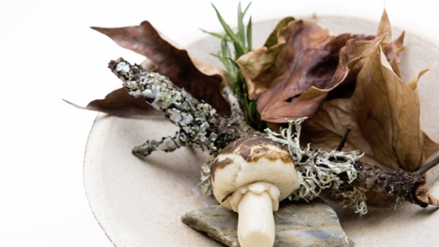 La tapa ganadora tiene este aspecto.