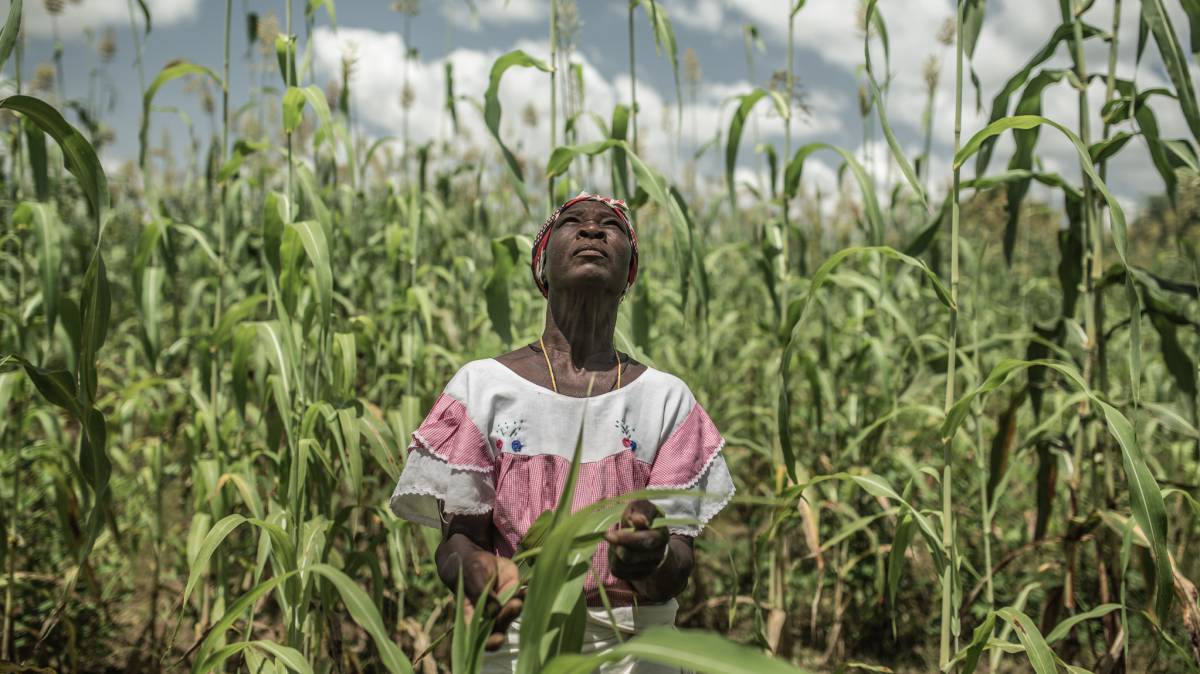 Pascaline Sawadogo, de 59 años, pertenece a una familia agricultora del centro de Burkina Faso (África occidental). El cambio climático ha cambiado los patrones de lluvia y pone en riesgo su cosecha.