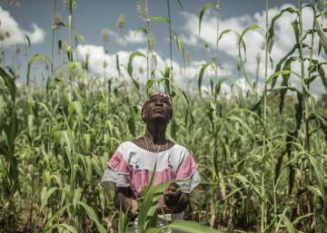 La maleta climática: de París a Marrakech