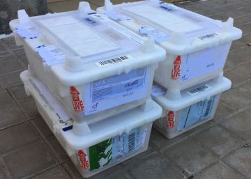 Las cuatro cajas con los ratones, a su llegada a Canarias.