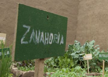 Pascuala Trujillo muestra su ‘fitotoldo’ con los espacios separados para los diferentes cultivos de verduras y hortalizas.