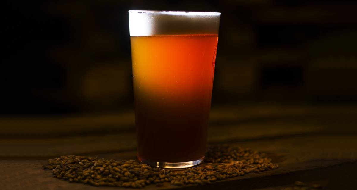 Así se fabrica una cerveza artesanal