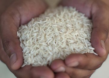 Un arròs medicinal a Eivissa