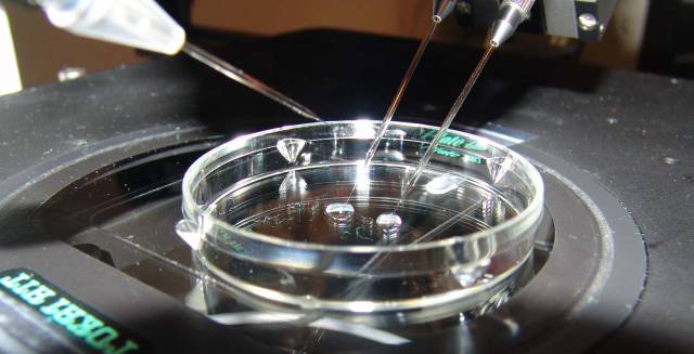 What to do with surplus IVF embryos?