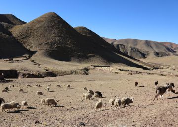 Bolivia: en la frontera del cambio climático