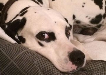 No te escondas, que te veo.