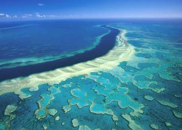 Resultado de imagen de barrera de coral australia