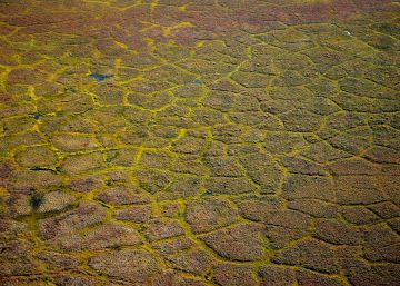 Fermat y los polígonos regulares