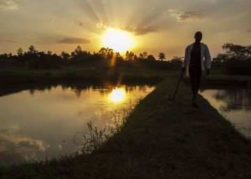 Tres no son multitud