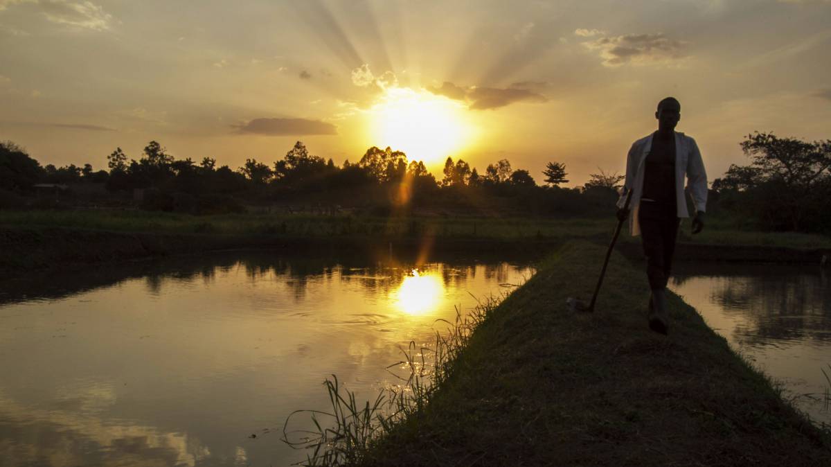 Tres no son multitud