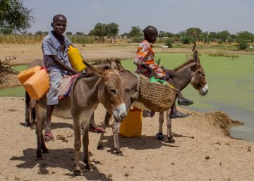 Dos ni&ntilde;os dan de beber a sus burros en una charca sucia en Diffa, N&iacute;ger. 