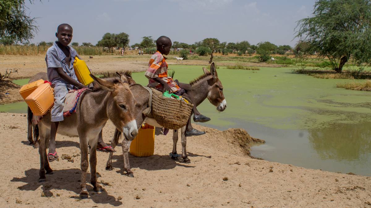 Dos niños dan de beber a sus burros en una charca sucia en Diffa, Níger.