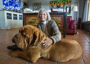 Alicia Giménez Bartlett e ‘Irma’, la dulce