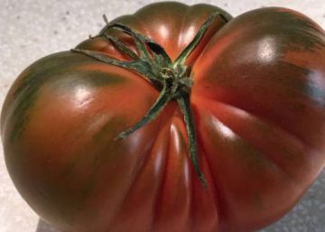 Nuevas vías para comer tomates