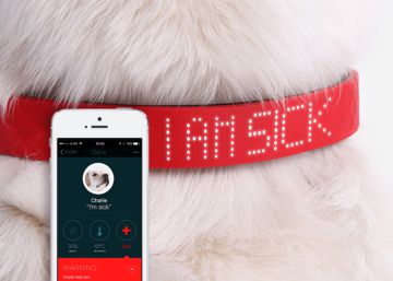 El collar Kyon Pet Tracker alerta del posible malestar del perro.