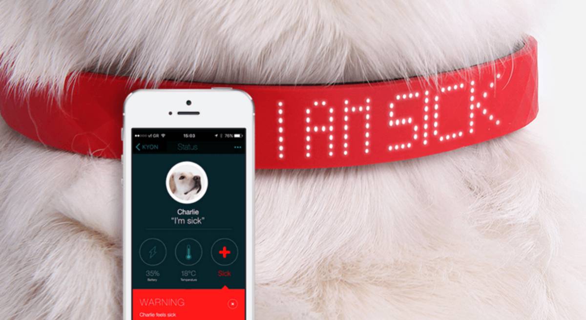 El collar Kyon Pet Tracker alerta del posible malestar del perro.