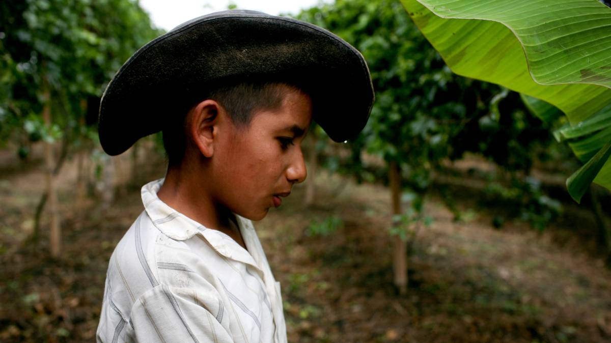 La paz se siembra en el campo colombiano