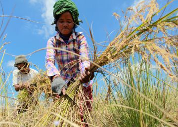 Una cooperación eficaz para no dejar a nadie atrás