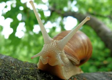 ¿Cupidos del amor o sadomasoquistas del sexo?