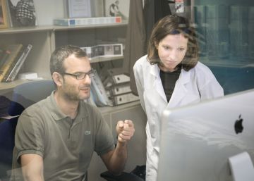 Contra la misma raíz del cáncer