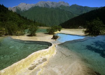 Desde las tierras altas a nuestra mesa