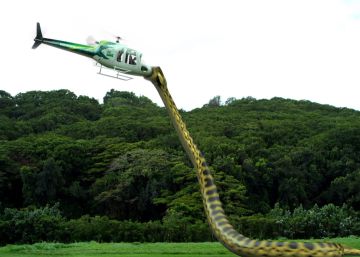 Los demonios del infierno verde (I)