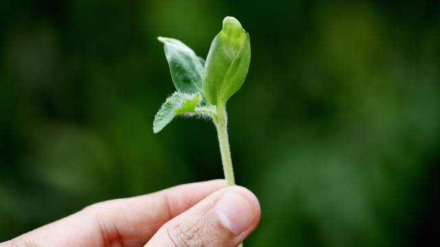 Ocho proyectos que han mejorado el planeta en 2016