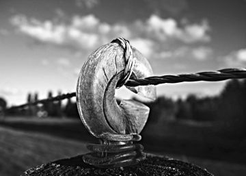 El coche eléctrico va a ser como internet